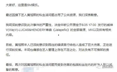 娱乐公司工作爆料怎么写,独家爆料带你探秘明星幕后故事  第3张
